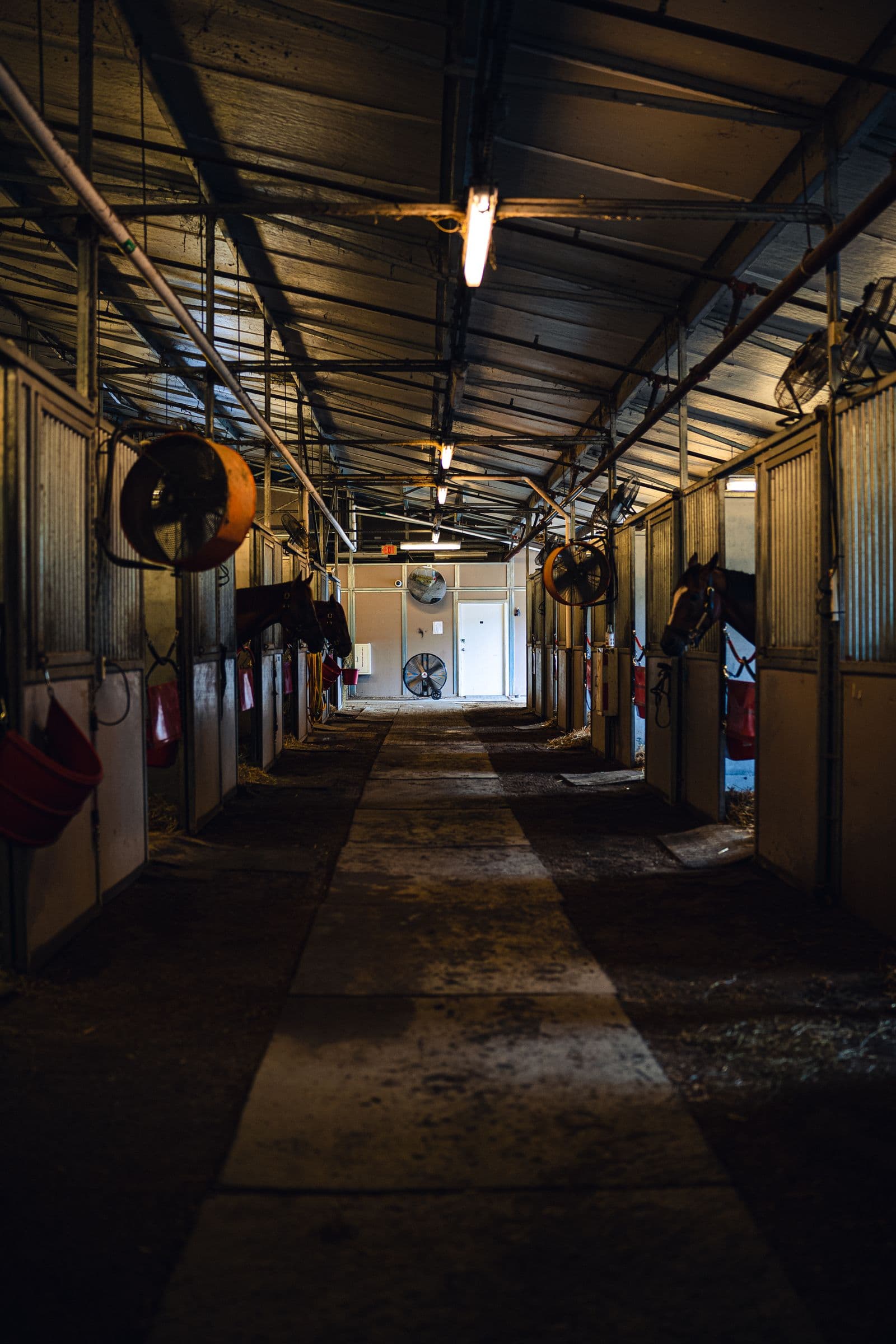 Horse stable aisleway with stalls and barn fans